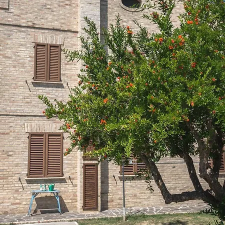 Bed And Breakfast Aratro & Rosmarino-2